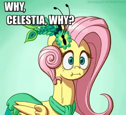 Size: 700x635 | Tagged: artist:deusexequus, derpibooru import, edit, flutterface, fluttershy, image macro, meme, princess celestia, safe, solo, why