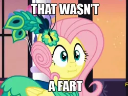 Size: 452x340 | Tagged: caption, cute, derpibooru import, exploitable meme, fluttershy, :i, image macro, implied sharting, make new friends but keep discord, meme, safe, screencap, solo, text, that wasn't a fart, we bought two cakes