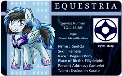 Size: 1603x1000 | Tagged: safe, artist:vavacung, derpibooru import, oc, oc:sentoki, pegasus, pony, armor, id card, night guard, night sky