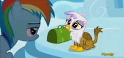 Size: 1032x482 | Tagged: safe, derpibooru import, screencap, gilda, rainbow dash, gryphon, pony, season 5, the lost treasure of griffonstone, bag, cute, gildadorable