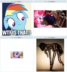 Size: 512x549 | Tagged: derpibooru, derpibooru import, exploitable meme, juxtaposition, juxtaposition win, king grover, meme, meta, rainbow dash, semi-grimdark, twilight sparkle, wat