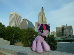 Size: 4608x3456 | Tagged: artist:pmbsakura37, derpibooru import, irl, photo, plushie, providence, rhode island, safe, twilight sparkle