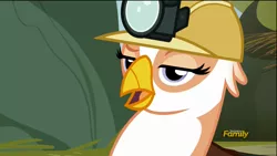 Size: 1920x1080 | Tagged: safe, derpibooru import, screencap, gimme moore, gryphon, the lost treasure of griffonstone, discovery family logo, greedy, hard hat, hat, open mouth, raised eyebrow, solo