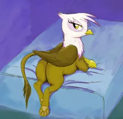 Size: 689x665 | Tagged: suggestive, artist:el-yeguero, derpibooru import, gilda, gryphon, bed, butt, crossed arms, female, folded wings, image, jpeg, looking at you, looking back, looking back at you, on bed, paw pads, paws, plot, raised tail, solo, tail, wings