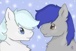 Size: 1009x669 | Tagged: safe, artist:serenity, derpibooru import, double diamond, oc, pony, the cutie map, chest fluff, looking at each other, male, pegasus master race, simple background, snow, snowfall, stallion, straight