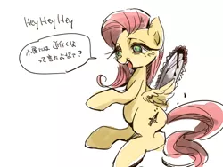 Size: 640x480 | Tagged: artist:wan, blood, chainsaw, derpibooru import, fluttershed, fluttershy, japanese, .mov, murdershy, semi-grimdark, shed.mov, solo