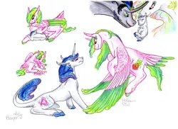 Size: 6876x5000 | Tagged: source needed, safe, artist:dawn22eagle, derpibooru import, king sombra, princess celestia, oc, oc:hibiscus petal, oc:lily bouquet, classical unicorn, pegasus, pony, unicorn, absurd resolution, good king sombra, leonine tail, mirror universe, next generation, tail feathers