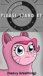 Size: 553x977 | Tagged: artist:icebreak23, catsuit, countdown, derpibooru import, descriptive noise, fallout, fallout 4, heavy breathing, hype, meme, pinkie pie, reaction image, safe, solo, wide eyes