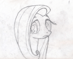 Size: 1045x844 | Tagged: safe, artist:pancake-skunk, derpibooru import, fluttershy, pony, animated, bust, cute, female, frame by frame, grayscale, looking at you, mare, monochrome, pencil drawing, photo, shyabetes, solo, trace, traditional animation, traditional art