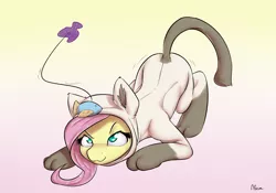 Size: 1500x1050 | Tagged: safe, artist:alasou, deleted from derpibooru, derpibooru import, fluttershy, cat, pony, :3, animal costume, behaving like a cat, cat costume, clothes, costume, female, mare, solo