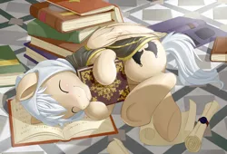 Size: 2560x1740 | Tagged: safe, artist:dstears, derpibooru import, oc, oc:halo prime, unofficial characters only, pegasus, pony, book, bookhorse, clothes, cute, hoodie, male, runes, scroll, sleeping, solo, that pony sure does love books, underhoof