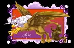 Size: 800x518 | Tagged: safe, artist:shottsy85, derpibooru import, gilda, gryphon, majestic, solo