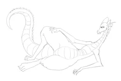 Size: 1280x856 | Tagged: adult spike, artist:carnifex, barb, derpibooru import, dragon, dragoness, looking at you, monochrome, older, older spike, rule 63, sketch, solo, spike, suggestive