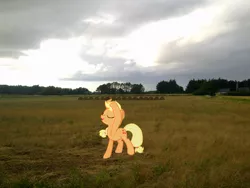 Size: 2449x1837 | Tagged: applejack, artist:davidsfire, artist:makenshi179, derpibooru import, fabulous, field, hay bale, irl, photo, ponies in real life, safe, sky, solo, vector