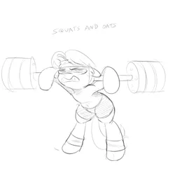 Size: 1000x1000 | Tagged: artist:khorme, belly button, bike shorts, clothes, derpibooru import, do you even lift, gritted teeth, monochrome, oc, oc:ultramare, safe, sketch, solo, sweat, sweatband, unofficial characters only, weight lifting, weights, workout