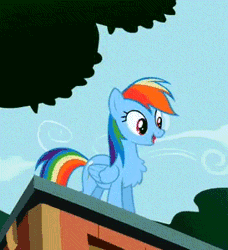Size: 273x299 | Tagged: safe, artist:xieril, derpibooru import, edit, edited screencap, screencap, rainbow dash, pegasus, pony, may the best pet win, animated, behaving like a bird, chest fluff, eyes closed, grin, impossibly large chest fluff, smiling, smirk, solo, talking