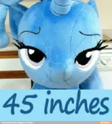 Size: 739x820 | Tagged: suggestive, artist:doublebackstitcharts, derpibooru import, trixie, pony, unicorn, expand dong, exploitable meme, implied futa, irl, meme, photo, plushie, solo