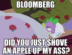 Size: 663x500 | Tagged: bloomberg, caption, derpibooru import, dragon, edit, edited screencap, image macro, implied anal insertion, implied insertion, male, meme, out of context, over a barrel, screencap, shipping, spike, suggestive