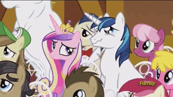 Size: 500x281 | Tagged: safe, derpibooru import, screencap, bulk biceps, cheerilee, cherry berry, doctor whooves, filthy rich, hayseed turnip truck, princess cadance, roseluck, savoir fare, shining armor, time turner, pony, slice of life (episode), animated, cute, cutedance, daaaaaaaaaaaw, discovery family, discovery family logo, hug, male, shining adorable, stallion, wavy mouth