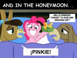 Size: 711x532 | Tagged: safe, derpibooru import, cranky doodle donkey, matilda, pinkie pie, donkey, earth pony, pony, cockblock, crankilda, engrish, honeymoon, meme, trio