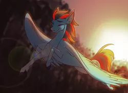 Size: 4133x3000 | Tagged: safe, artist:probablyfakeblonde, derpibooru import, oc, oc:andrew swiftwing, unofficial characters only, pegasus, pony, eyes closed, flying, forest, happy, male, solo, stallion, sunset, tree