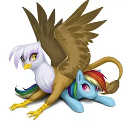Size: 3000x2900 | Tagged: safe, artist:santagiera, derpibooru import, gilda, rainbow dash, gryphon, cute, dashabetes, gildadorable, lying on top of someone, not sure if want, smiling, spread wings, unsure