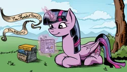 Size: 714x402 | Tagged: safe, artist:thethunderpony, derpibooru import, twilight sparkle, twilight sparkle (alicorn), alicorn, pony, banner, book, female, mare, outdoors, patreon, reading, smiling, solo