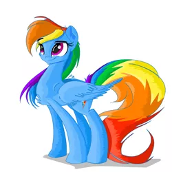 Size: 2750x2750 | Tagged: artist:asimplerarity, backwards cutie mark, chest fluff, derpibooru import, rainbow dash, safe, simple background, smiling, solo