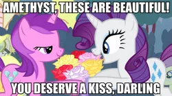 Size: 895x500 | Tagged: alula, amethyst star, caption, derpibooru import, edit, edited screencap, image macro, implied shipping, meme, out of context, rarithyst, rarity, rose, safe, screencap, simple ways, sugar cookie