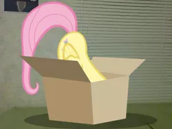 Size: 640x480 | Tagged: safe, artist:headphonemc, derpibooru import, fluttershy, pony, behaving like a cat, box, face down ass up, irl, photo, plot, ponies in real life, solo