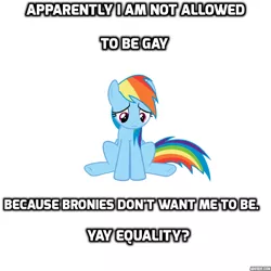 Size: 768x768 | Tagged: background pony strikes again, derpibooru import, drama, drama bait, equality, image macro, lgbt, low quality bait, meme, mouthpiece, rainbow dash, sad, safe, wat, yay equality