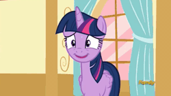 Size: 512x288 | Tagged: safe, derpibooru import, screencap, twilight sparkle, twilight sparkle (alicorn), alicorn, pony, party pooped, adorkable, animated, cute, discovery family, discovery family logo, dork, female, mare, open mouth, smiling, spread wings, sweat, talking, twilight snapple, wide eyes, wingboner