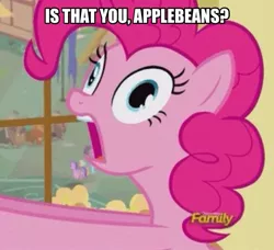 Size: 926x844 | Tagged: safe, derpibooru import, edit, edited screencap, screencap, pinkie pie, party pooped, applebeans, dialogue, discovery family logo, female, image macro, meme, solo