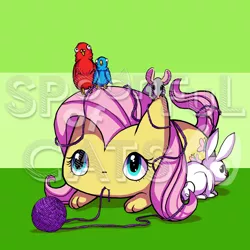 Size: 720x720 | Tagged: safe, artist:spoonfulofcats, derpibooru import, angel bunny, fluttershy, bird, cat, mouse, species swap, watermark