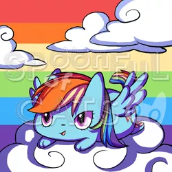 Size: 720x720 | Tagged: safe, artist:spoonfulofcats, derpibooru import, rainbow dash, cat, cute, species swap, watermark