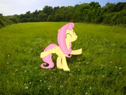 Size: 2592x1944 | Tagged: artist:makenshi179, artist:moongazeponies, dancing, derpibooru import, field, fluttershy, grass field, irl, photo, ponies in real life, safe, solo, tree, vector