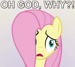 Size: 500x450 | Tagged: caption, derpibooru import, disturbed, edit, edited screencap, fluttershy, hair over one eye, image macro, party pooped, reaction image, safe, screencap, solo, upset, why