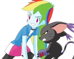 Size: 400x320 | Tagged: artist needed, source needed, safe, derpibooru import, rainbow dash, cat, gatomon, equestria girls, blackgatomon, crossover, digimon, duo, female, simple background, white background