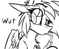 Size: 1101x912 | Tagged: source needed, useless source url, safe, artist:ralek, derpibooru import, oc, oc:sapphire sights, unofficial characters only, pegasus, pony, fallout equestria, bendy straw, drinking, drinking straw, monochrome, portrait, raised eyebrow, reaction image, sipping, solo, sparkle cola, straw