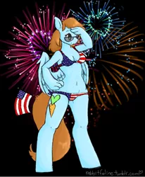 Size: 536x650 | Tagged: 4th of july, american flag, american flag bikini, american independence day, anthro, artist:bunnycat, belly button, bikini, clothes, derpibooru import, fireworks, flag bikini, freedom, independence day, murica, oc, oc:bunny, safe, salute, sunglasses, swimsuit, tumblr blog, unguligrade anthro, united states, unofficial characters only