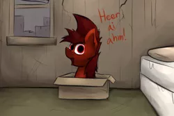 Size: 1280x854 | Tagged: safe, artist:marsminer, derpibooru import, oc, oc:mars miner, unofficial characters only, pony, box, dialogue, here i am, idiot box, pony in a box, reference, spongebob squarepants