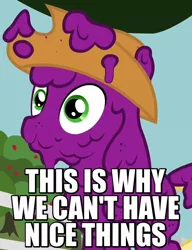 Size: 500x650 | Tagged: applejack, caption, derpibooru import, edit, edited screencap, food, grape juice, grapes, hat, image macro, meme, messy, reaction image, safe, screencap, sisterhooves social, solo, this is why we can't have nice things