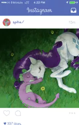 Size: 640x1018 | Tagged: safe, artist:m0on13aby, derpibooru import, rarity, spike, dragon, pony, unicorn, 420, cute, eyes closed, female, flower, grass, instagram, interspecies, ios, iphone, male, raribetes, shipping, sleeping, sparity, spikabetes, straight