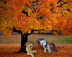 Size: 1280x1024 | Tagged: applejack, artist:jrrhack, artist:perrohambre, artist:redpandapony, autumn, derpibooru import, irl, leaves, photo, ponies in real life, rarity, safe, tree, vector