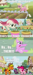 Size: 852x1920 | Tagged: applebuck season, applejack, caption, comic sans, daisy, derpibooru import, edit, edited screencap, flower, flower wishes, garden, lily, lily valley, meme, ms paint, op is on drugs, pig, piggie pie, pigified, pinkie pie, roseluck, safe, screencap, species swap, spike, stylistic suck