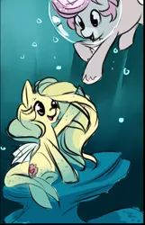 Size: 673x1043 | Tagged: safe, artist:starshinebeast, derpibooru import, oc, oc:intrepid charm, oc:ocean pixel, unofficial characters only, aquapony, pony, unicorn, cute, female, male, seapegasus, straight, trail as a pony, underwater