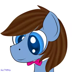 Size: 2500x2500 | Tagged: artist:asknoxthepony, bowtie, bust, derpibooru import, male, oc, oc:bowtie, portrait, request, safe, solo, unofficial characters only