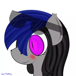 Size: 2500x2500 | Tagged: safe, artist:asknoxthepony, derpibooru import, oc, oc:crystal melody, unofficial characters only, bat pony, pony, bust, female, portrait, request, slit eyes, solo, sunglasses