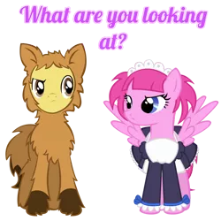 Size: 1000x1000 | Tagged: safe, artist:agirl3003, derpibooru import, oc, oc:anime pony, oc:furry pony, unofficial characters only, pegasus, pony