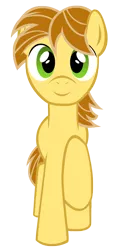 Size: 1856x3856 | Tagged: artist:coolez, derpibooru import, oc, oc:mandopony, safe, simple background, solo, transparent background, unofficial characters only, vector